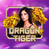 Dragon Tiger live casino Slot8